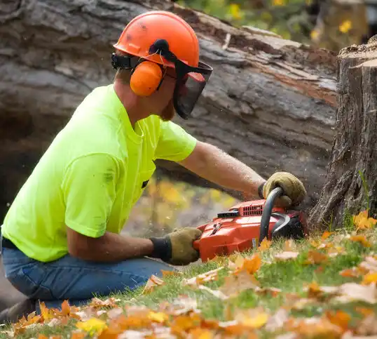 tree services Elizabethtown